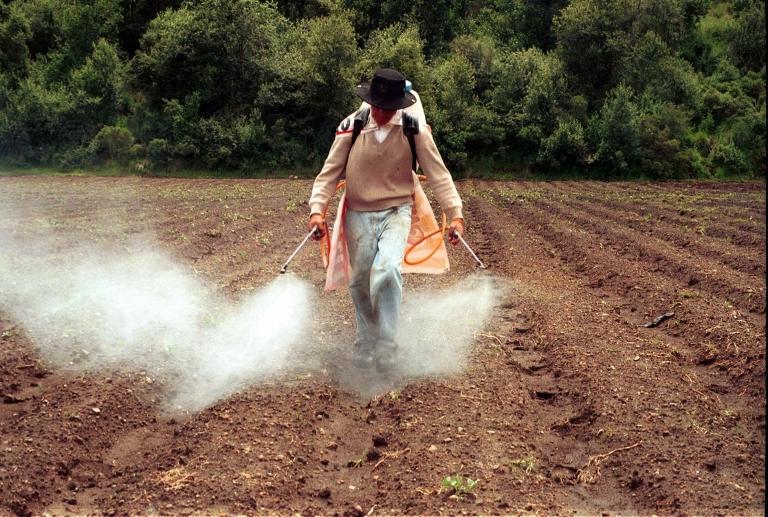 Con la pérdida de nutrientes en los alimentos como calcio, magnesio, potasio, fósforo, hierro, entre otros, y los residuos de plaguicidas, el ser humano corre el riesgo de ser más propenso a enfermedades cancerígenas, obesidad, desnutrición, anemia, entre otras. Foto Cuartoscuro / Archivo