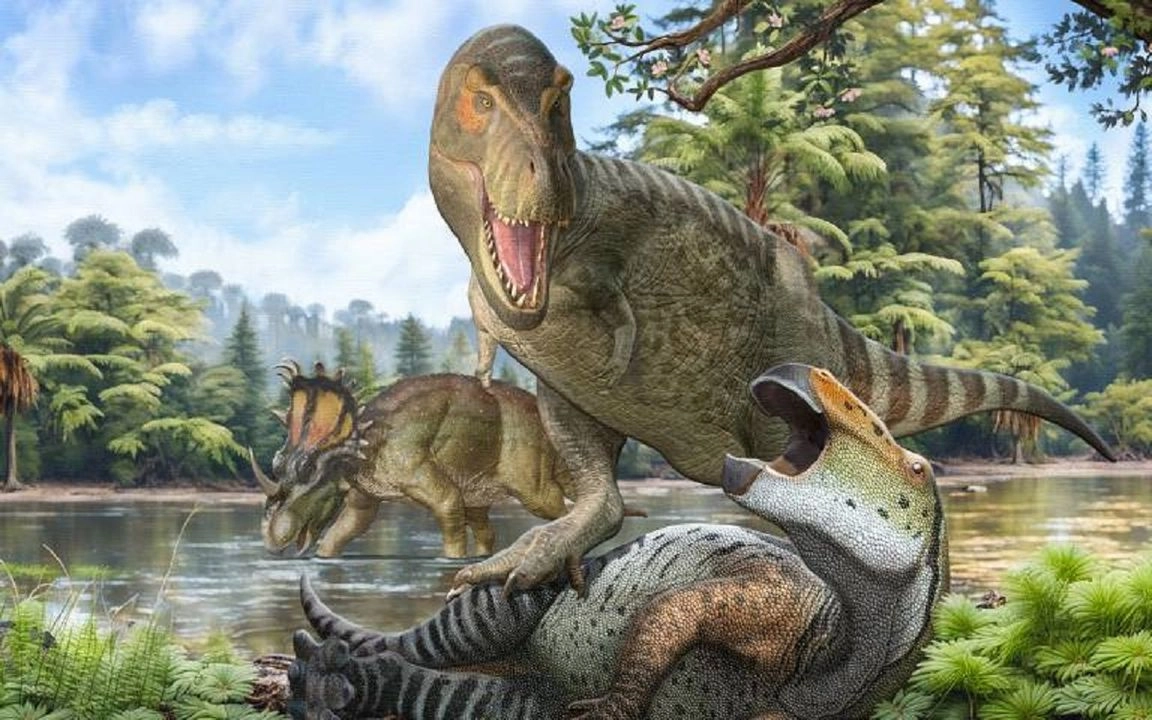 Un estudio encontró que el rápido crecimiento en tamaño de los tiranosáuridos coincidió con un enfriamiento del clima global hace 92 millones de años.