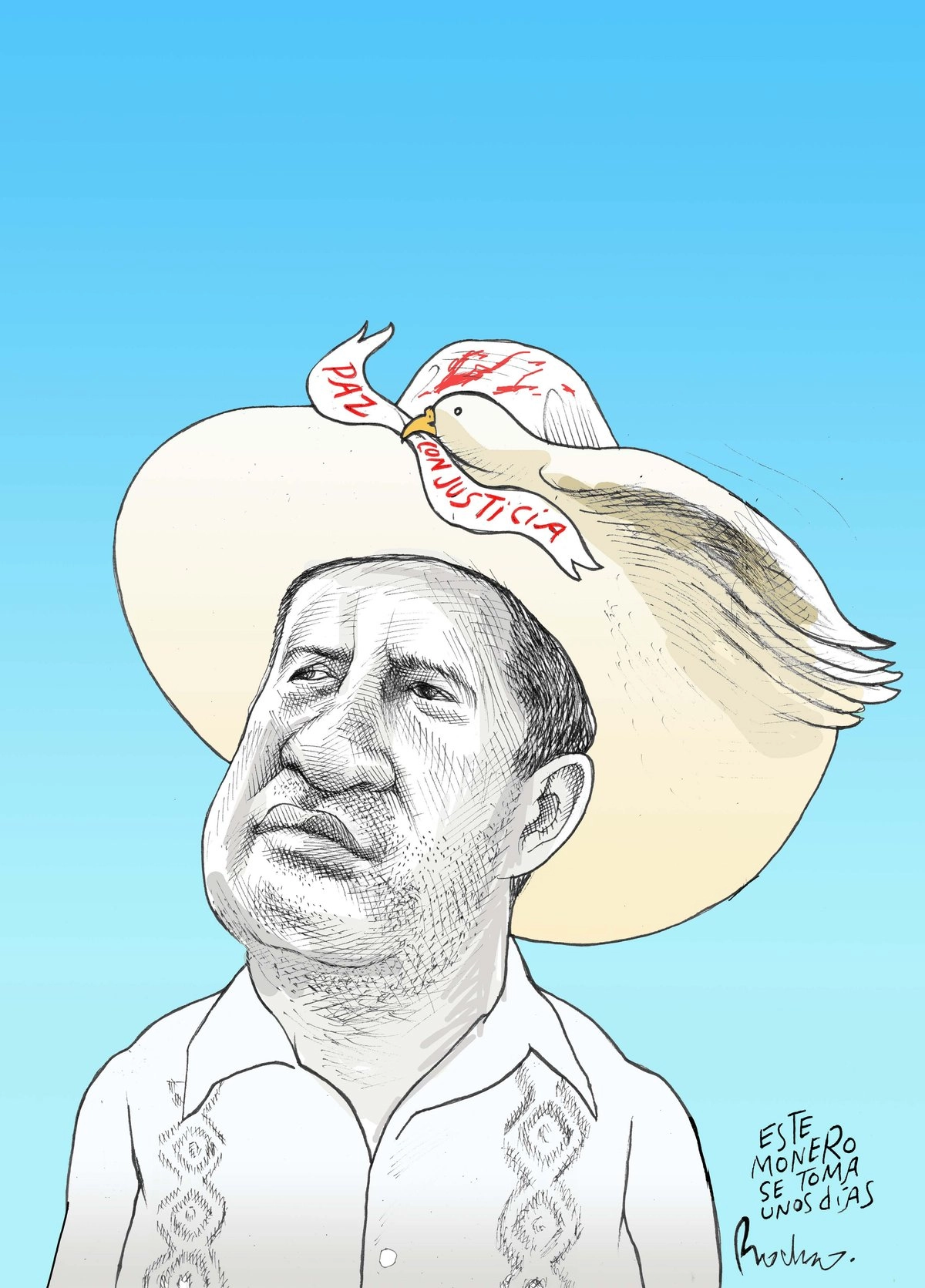 El ala del sombrero.  