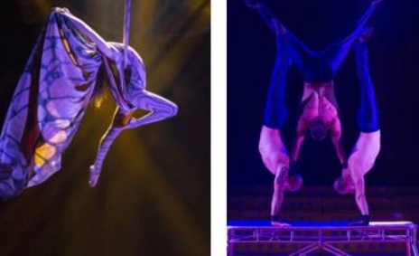 La compañía ofrecerá seis funciones, del 29 de abril al 2 de mayo. Foto cortesía del Circo Atayde Hermanos