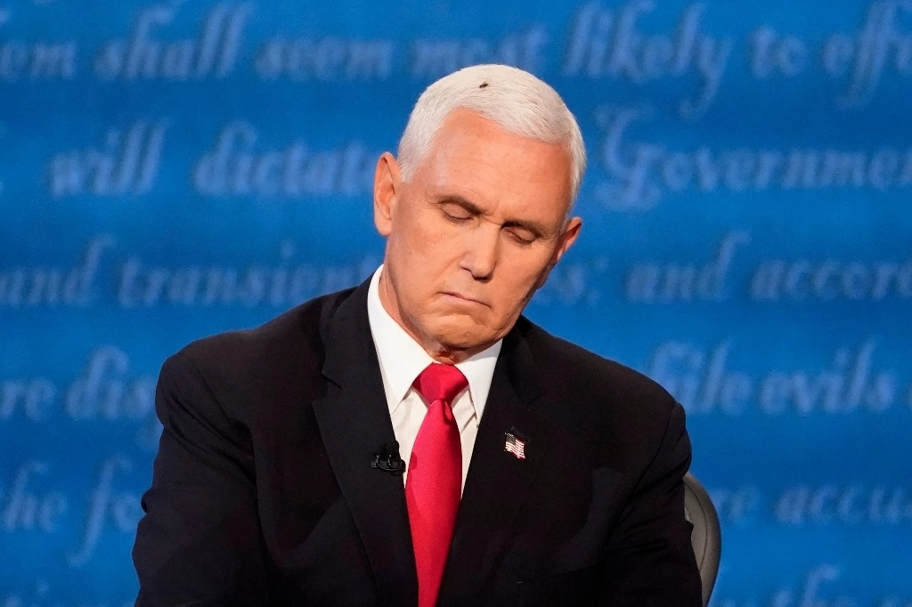 Una mosca que se posó sobre la cabeza de Mike Pence se convirtió en la estrella del debate entre candidatos a la vicepresidencia. Foto Ap