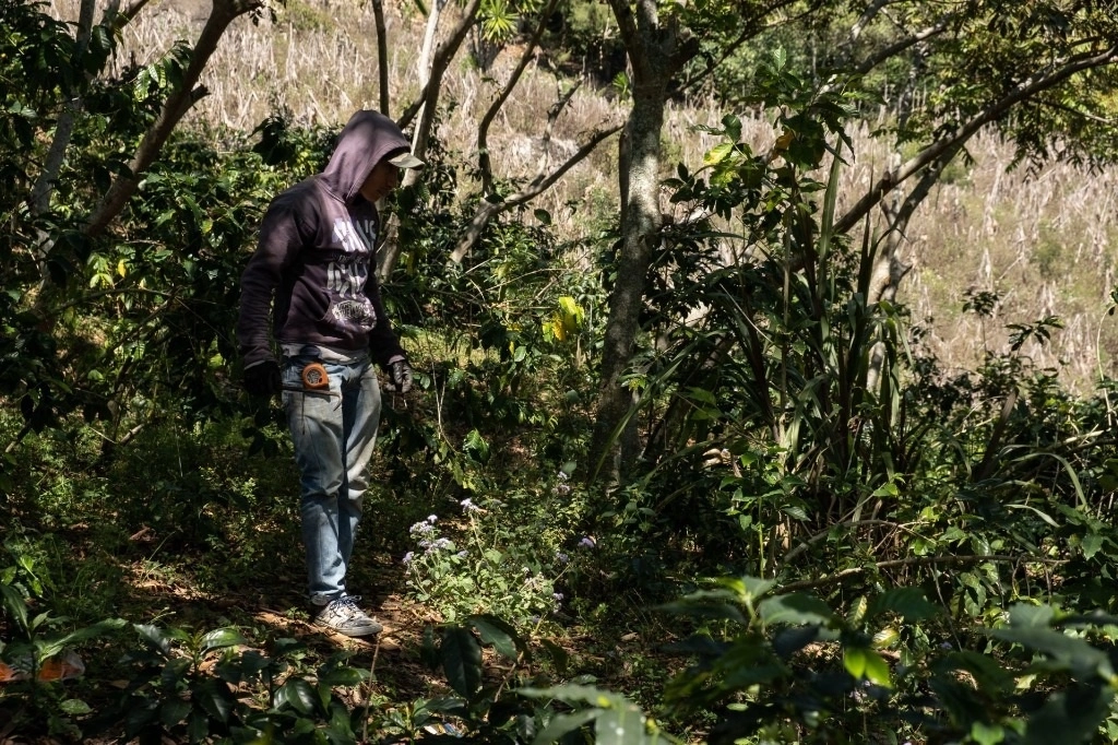 Habitante de la comunidad de Aldama, Chiapas. Foto Cuartoscuro/ Archivo

