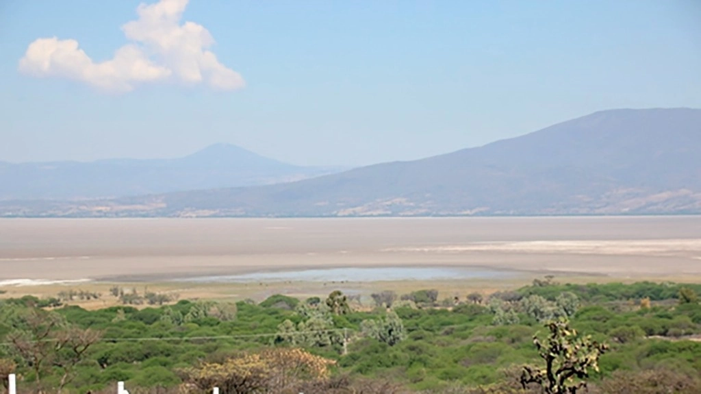 El lago Cuitzeo, localizado en Michoacán y una pequeña parte de Guanajuato, está a punto desaparecer, pues se encuentra a menos de 50 por ciento de su capacidad. En la parte poniente ha comenzado a brotar pasto. Foto cortesía de Rafael Ochoa 