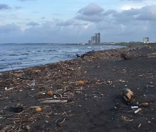 En la Isla del Amor, en el municipio de Alvarado, Veracruz, en imagen de archivo. Foto ‘La Jornada’