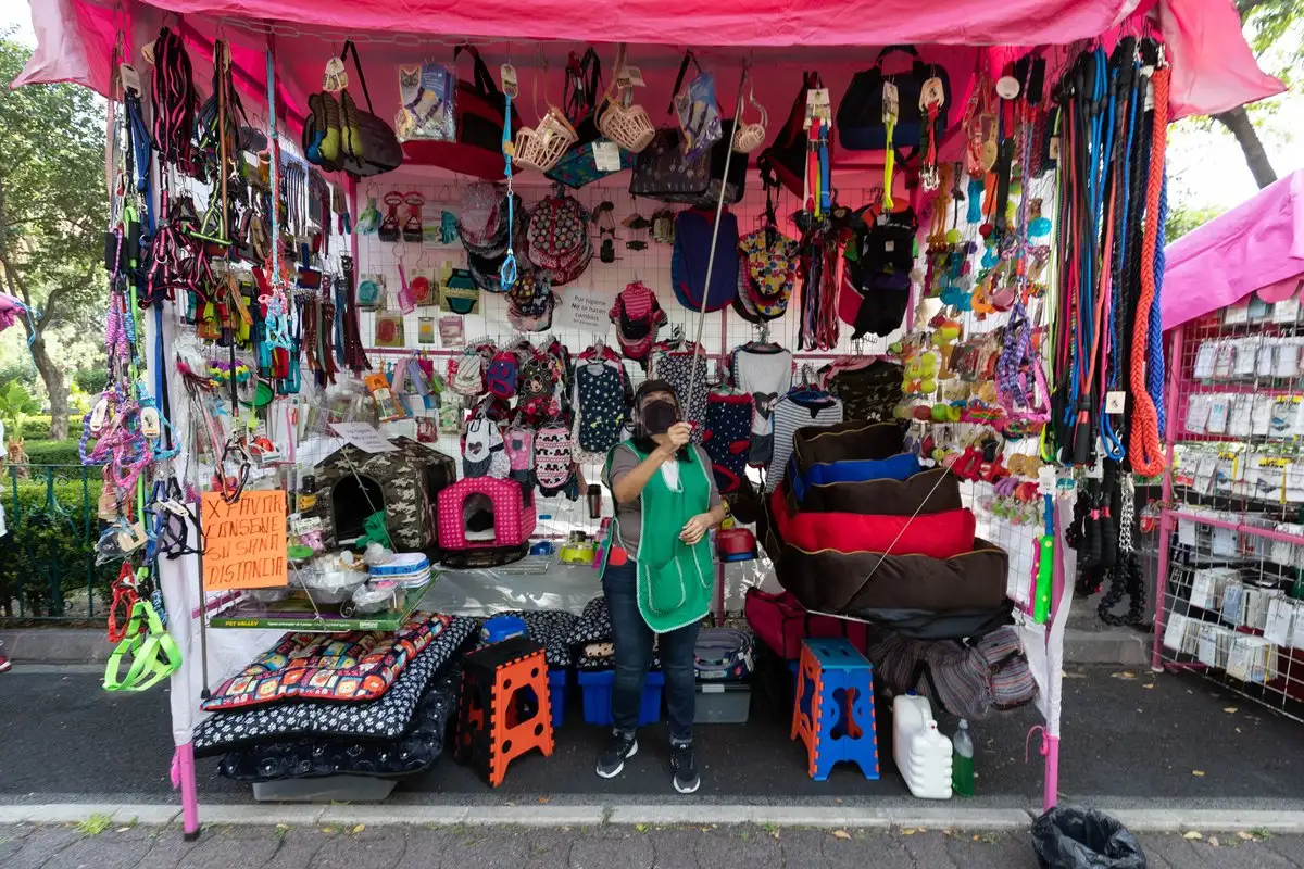 Los servicios y alimentos para mascotas están incluidos en la canasta representativa del consumo de los hogares mexicanos. Foto 
