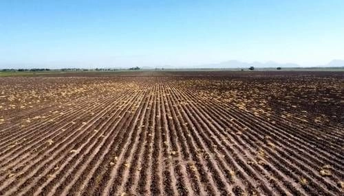 En el campo, los jóvenes cambiaron los tractores por las motocicletas. Y si agregas el asistencialismo de las becas de los gobiernos federal y estatal resulta que están desplazando al sector productivo, declaró Guillermo Aguilar, dirigente rural en Tamaulipas. Foto 