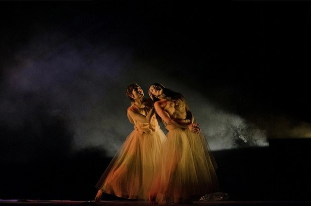 XXXVI Festival Internacional de Danza Contemporánea Lila López. Foto: Gloria Minauro/Isóptica
