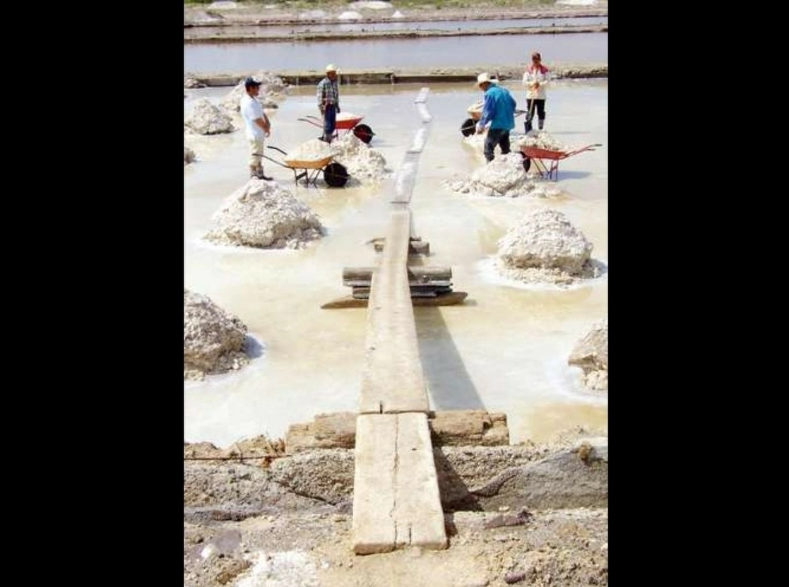 De acuerdo con el gobierno federal, al momento sólo hay concesiones para etapas iniciales de exploración del litio. Foto Alfredo Valadez Rodríguez / Archivo