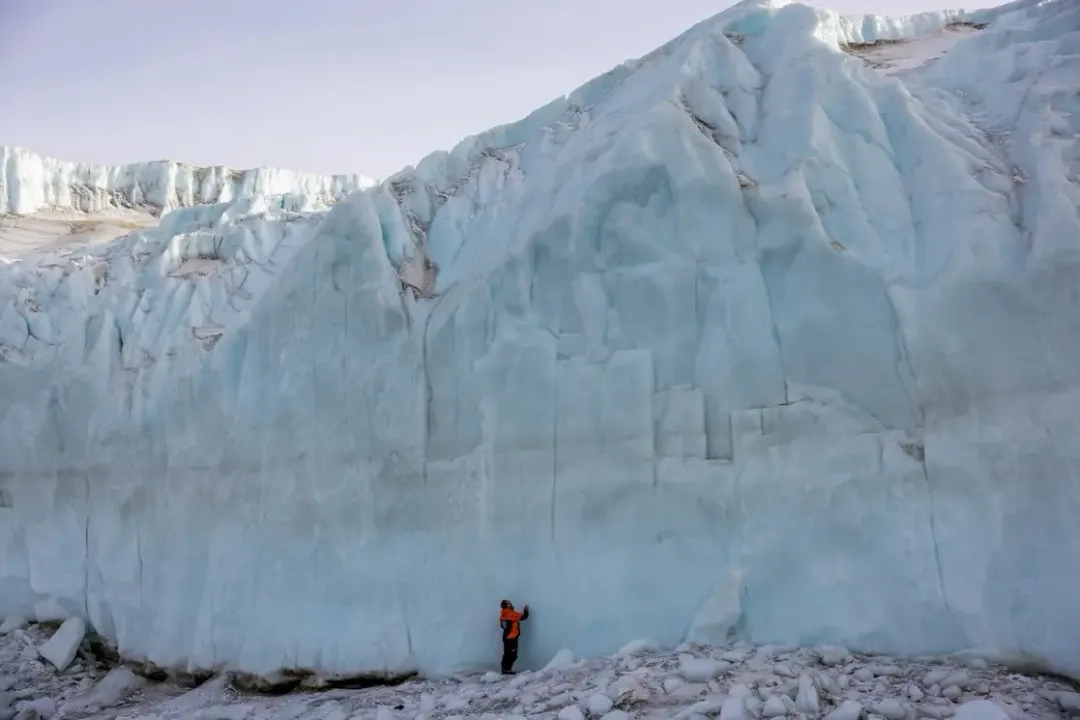 Los glaciares se están retirando a medida que el clima global se calienta, lo que amenaza a las especies especializadas, las funciones y la estabilidad de los ecosistemas.