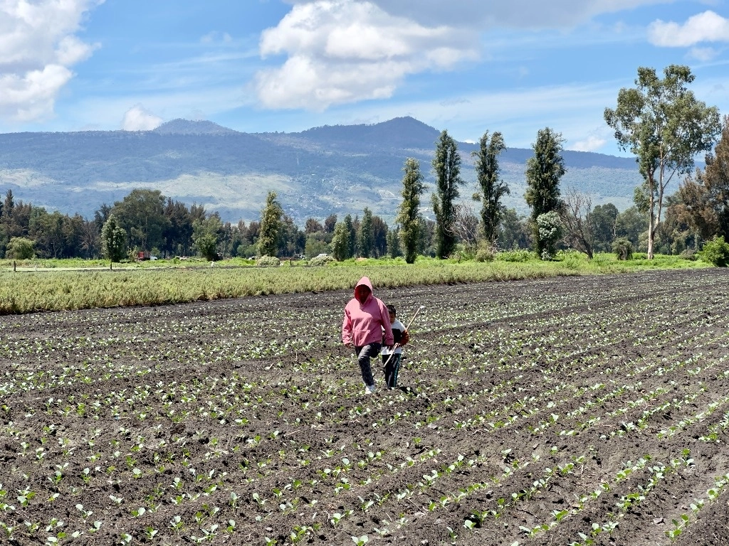 El sector agropecuario en estos últimos seis años, se ha consolidado como una potencia productora y exportadora, considera la Sader. Foto Roberto García