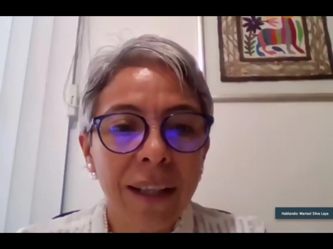 El Colegio Académico de la Universidad Autónoma Metropolitana eligió esta mañana a la doctora Marisol Silva Laya como nueva integrante de la Junta Directiva de esta casa de estudio. Imagen tomada de la transmisión a través del Twitter de @laopiuniver