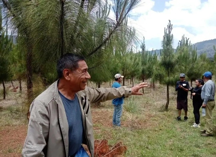El concejo mayor saliente afirmó que la delincuencia se redujo hasta en un 90 por ciento, y desde abril de 2011, instalaron tres viveros forestales, que poco a poco han servido para reforestar parte de las 10 mil hectáreas de bosque que les fueron saqueadas, señaló el ex consejero de esta comunidad, Reynaldo Durán Velázquez. Foto Ernesto Martínez Elorriaga/ Archivo 