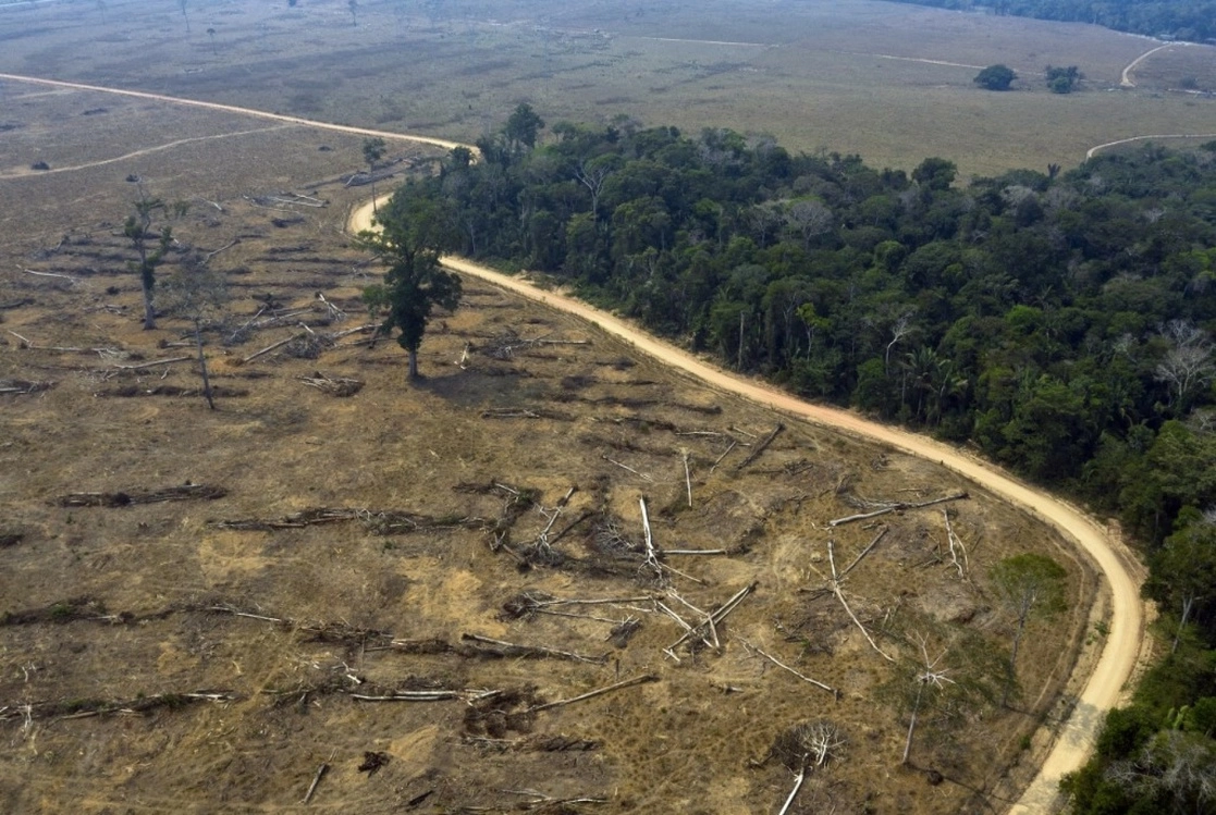 Tala en la selva del Amazonas, Brasil. Foto Afp / Archivo