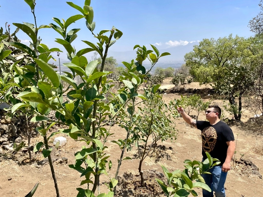 Informó la FAO que pese a la pandemia, la agricultura mexicana logró récords históricos en el comercio internacional y en los volúmenes de producción. Foto Roberto García