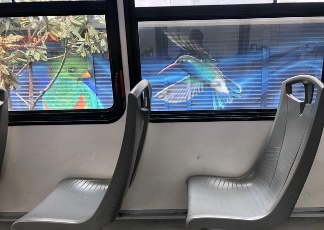 Las nuevas unidades de transporte tipo autobús tendrán características no contaminantes. Foto Luis Castillo