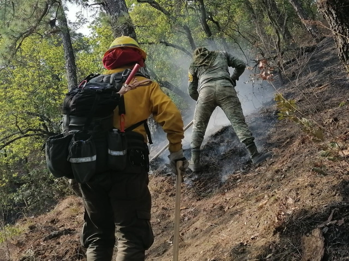 Brigadistas combaten el incendio en la sierra de Santiago, Nuevo León. Foto Twitter @nuevoleon