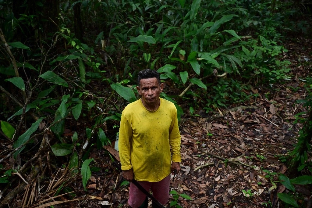 Un poblador de la región amazónica, Marajo, cerca de la ciudad de Anajas, estado de Pará, Brasil, el 7 de diciembre de 2024. Foto Afp