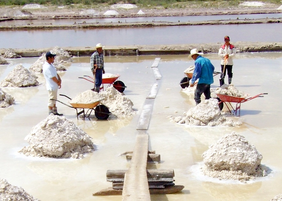 En la comunidad El Zancarrón, San Luis Potosí, se extrae sal en forma artesanal de piletas donde se provoca la evaporación de agua marina. La explotación de estas salinas es común desde la época de la colonia, y ahora se sabe, que son ricas en litio. Foto Alfredo Valadez / Archivo