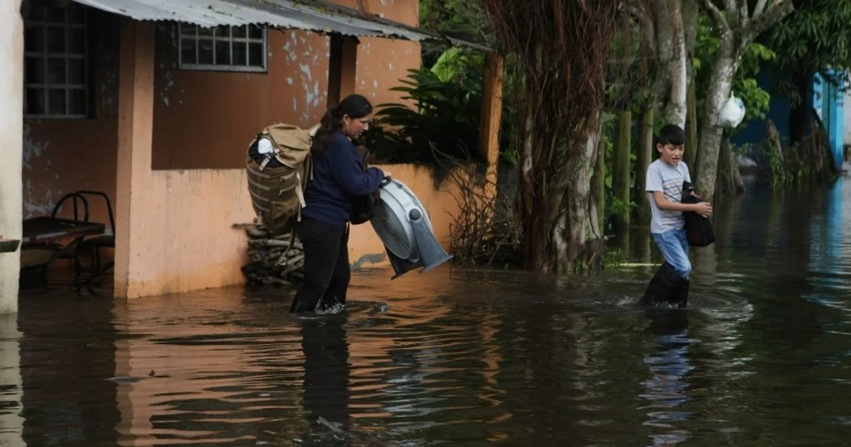 La Jornada - En 2020 desastres naturales en México desplazaron a más de 101  mil personas