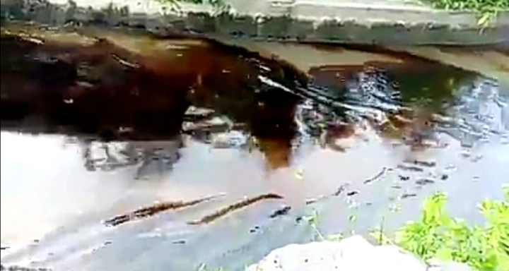 Así se ve el canal de aguas negras. Foto La Jornada
