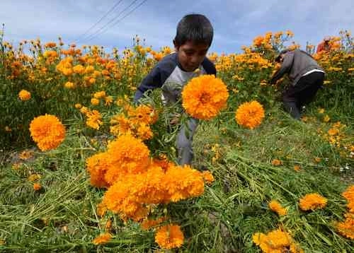 En mayo pasado, la Unicef denunció un considerable incremento de la violencia contra niños y adolescentes en México. Foto Cuartoscuro