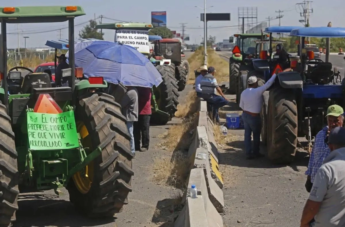 Es distinto el agricultor que tiene más de 100 hectáreas, porque incluso tiene seguros a diferencia del pequeño productor, que tiene dos hectáreas, señaló Sheinbaum.