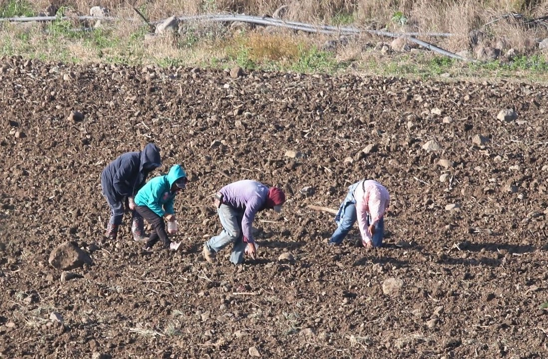  Muchas de las tierras han sido vendidas a acaparadores y sus dueños originales vuelven como jornaleros. Foto