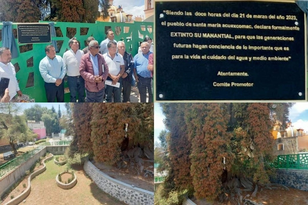 El comité de rescate del manantial de Santa María Acuexcomac, municipio de San Pedro Cholula, Puebla, colocó en marzo de 2023 una placa en la que se declaró extinto ese cuerpo de agua. Además, por la falta de lluvias se secó el ahuehuete que se encontraba junto al venero. Foto ‘La Jornada de Oriente’