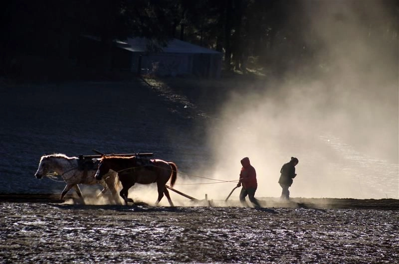 Es común observar en las parcelas del estado de México, matrimonios trabajando en la preparación y siembra de las tierras. Aunque tengan hijos, ellos se ocupan de otras tareas. Foto 