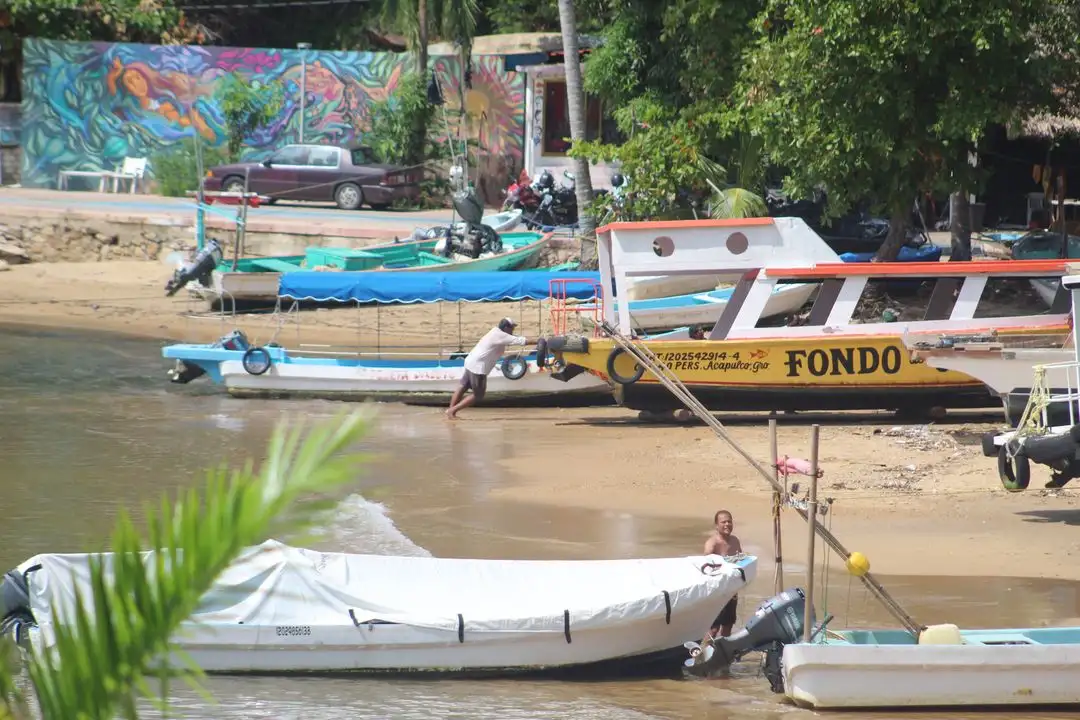 Decenas de embarcaciones menores y lanchas de fondo de cristal fueron remolcadas a la orilla de la playa Manzanillo. Foto