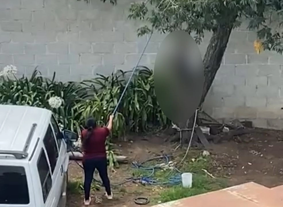 Una mujer es investigada por maltrato animal luego de que se difundiera una video donde se ve que intenta ahorcar al un perro. Foto 