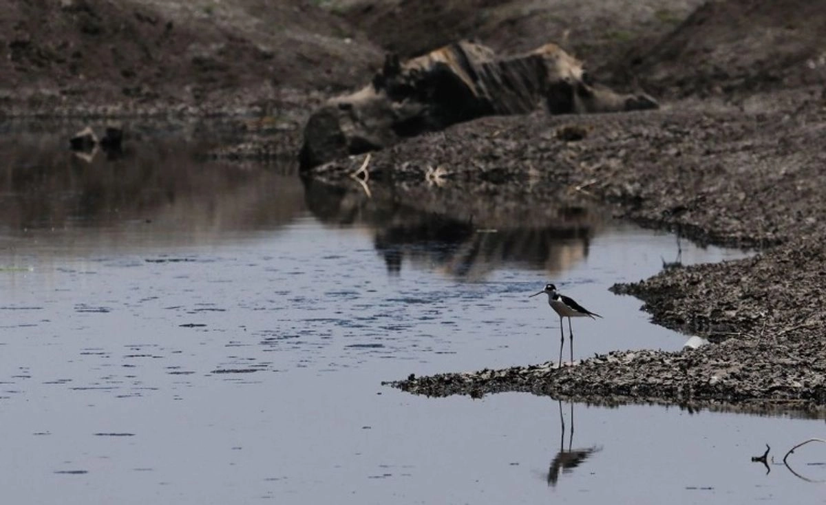 Al menos 10 municipios fronterizos en el estado de Tamaulipas enfrentan una situación complicada para disponer de agua para uso urbano. Foto