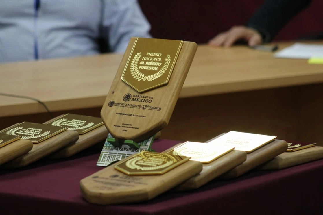 Reconocimientos del Premio al Mérito Forestal 2020. Foto Semarnat
