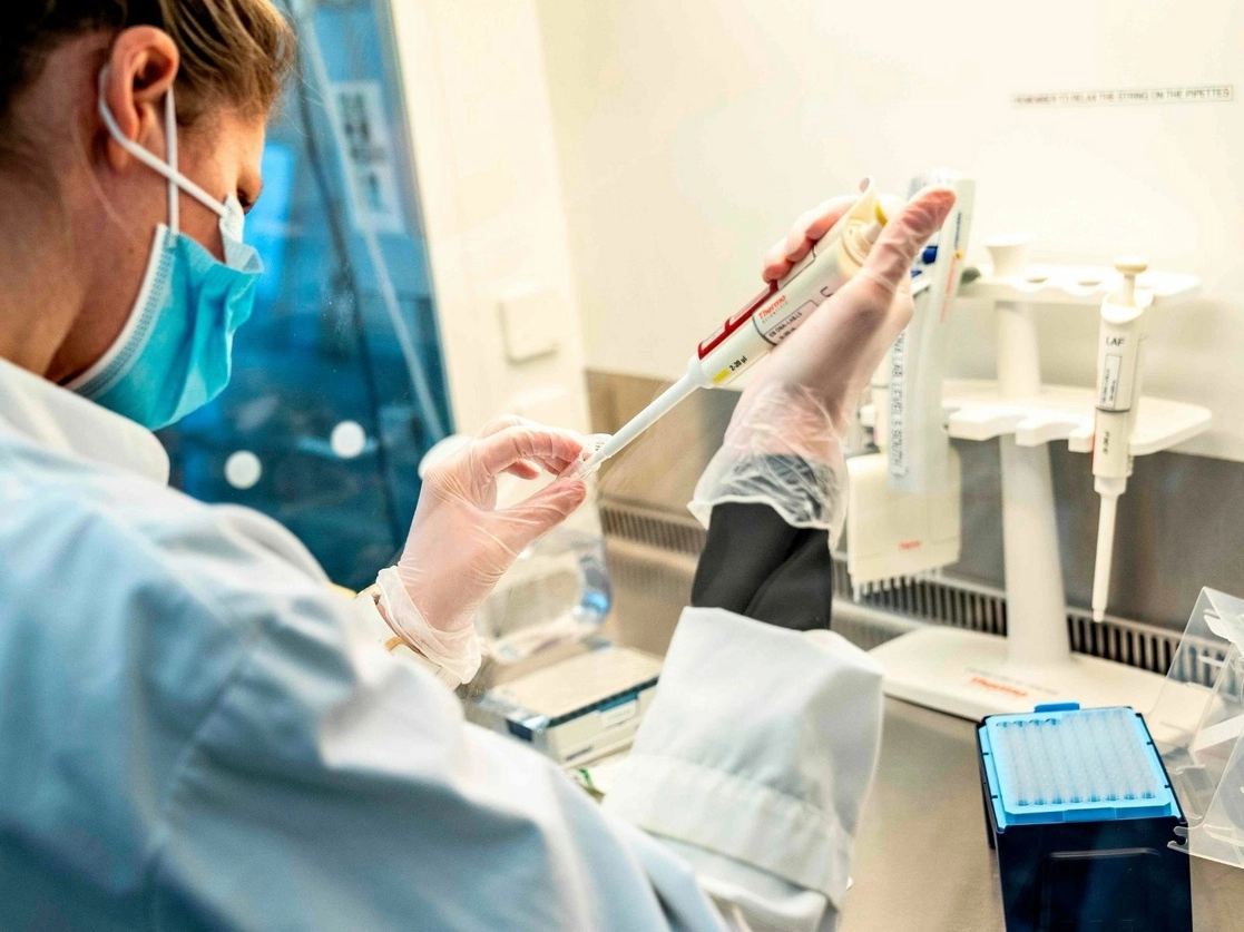 Un investigador de la Universidad de Aalborg utiliza un dispositivo de pipeta para seleccionar y analizar todas las muestras positivas de coronavirus danesas para el grupo de variantes del virus B117 del Reino Unido, en Aalborg, Dinamarca. Foto Afp / Archivo