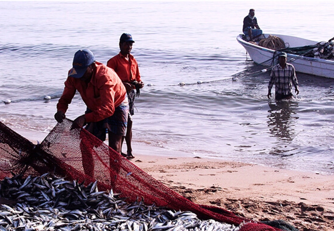 La Jornada - Especialistas analizan retos de la pesca artesanal en México