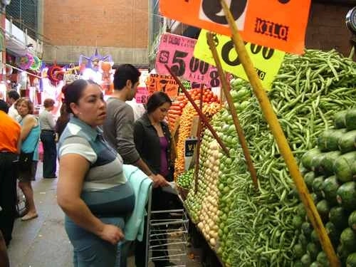 Por el momento se encuentran en el corte de espinaca y la siembra de brócoli, comenta el productor quien explica que este año la Comisión de Recursos Naturales y Desarrollo Rural. Foto Mario Antonio Núñez López / archivo