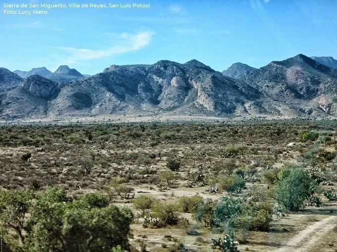 Sierra de San Miguelito. Foto cortesía Conanp / Archivo
