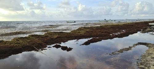 La imagen fue captada en Tulum, donde los residuos afectan no sólo a los visitantes, sino también a los pobladores y el medio ambiente. Foto Miguel Améndola / 'La Jornada Maya'