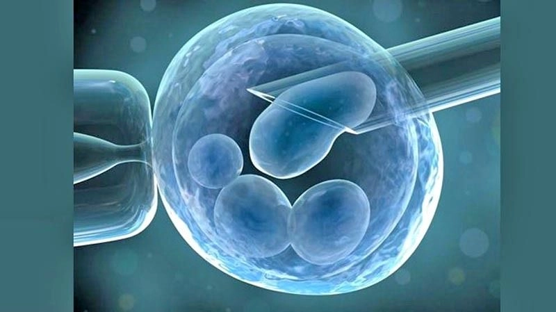 El experto en terapia celular ha realizado este trabajo en su laboratorio desde hace más de 20 años, a fin de sacar el mayor provecho a las células madres.