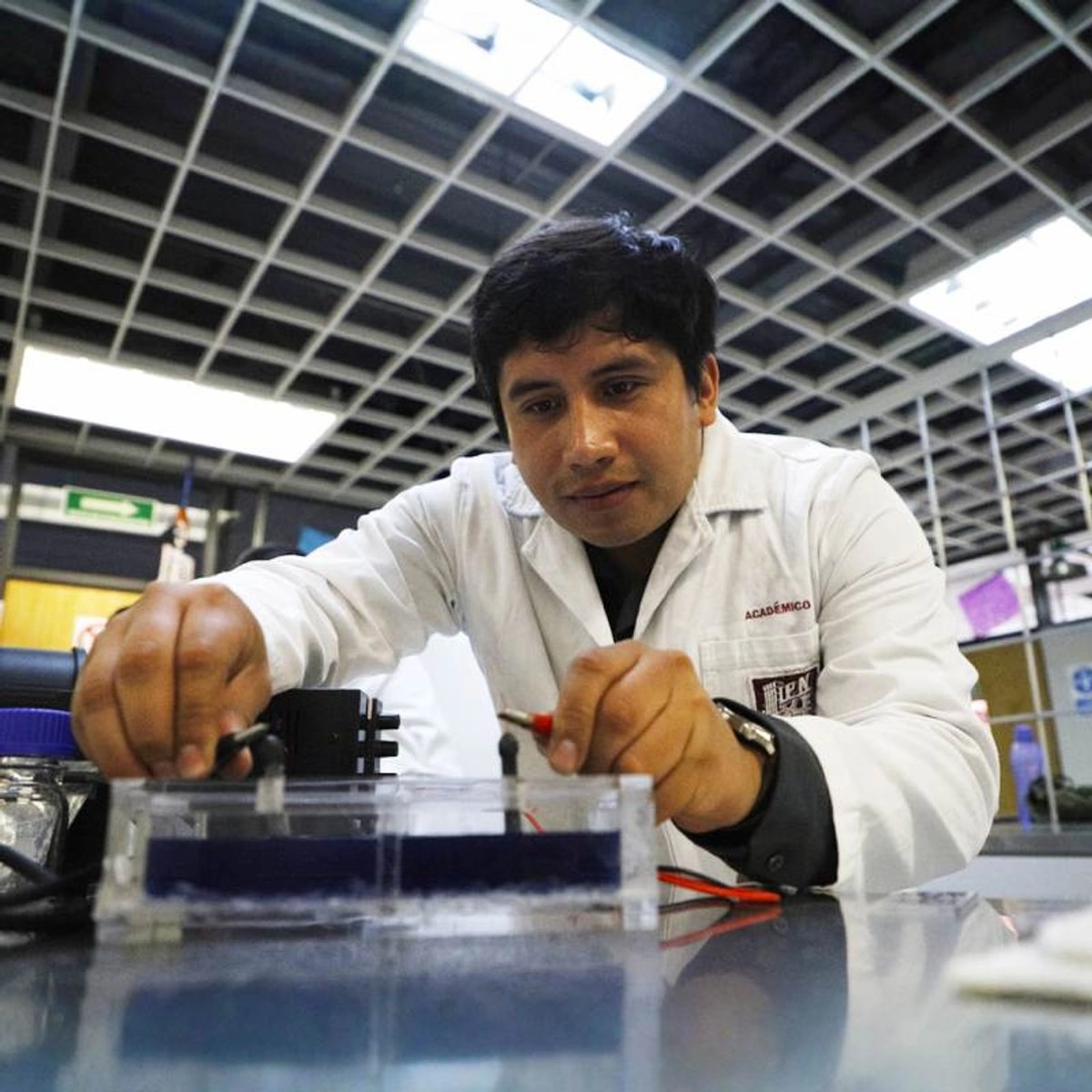 El color índigo es muy difícil de eliminar de las aguas residuales, por lo que muchas veces los procesos de tratamiento convencionales quedan incompletos. Por ello, mediante los electrodos elaborados a partir de la alga se busca eliminar la mayor parte de la materia orgánica e inorgánica presente en el agua.