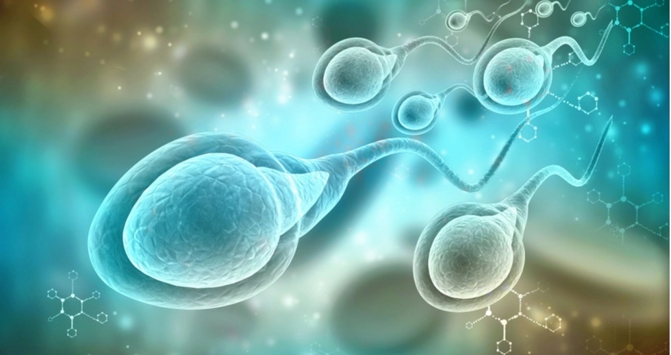 Como posibles causas a este fenómeno se contemplan "la obesidad, la falta de actividad física, la contaminación y la exposición a productos químicos en el medio ambiente", recordó el endocrinólogo Channa Jayasena. Imagen Margen, vía Europa Press