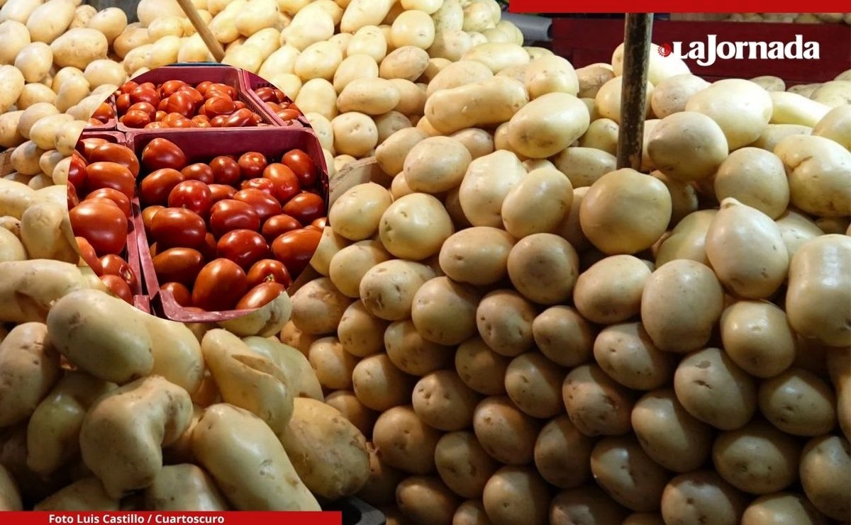 El cruce natural entre tomates silvestres y plantas similares a papas en América del Sur dio lugar a la papa moderna hace unos nueve millones de años, según un estudio publicado el jueves en la revista científica 'Cell'.

