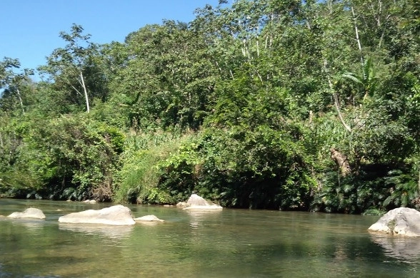 El río Guadalupe Paxilá en Chilón, Chiapas, en imagen de marzo pasado. Imagen tomada de Google Maps