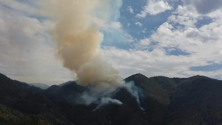El incendio forestal en el Parque Nacional Los Marmoles tiene 48 horas sin poder ser controlado. Foto La Jornada 