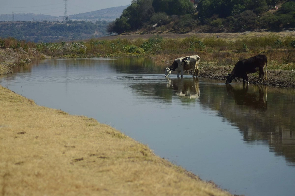 Por lo demás, el guanajuatense dijo haber platicado con líderes del campo  que decidieron retirar la mayor parte de los bloqueos a carreteras, porque Morena se comprometió a respetar la transmisión de las concesiones. Foto