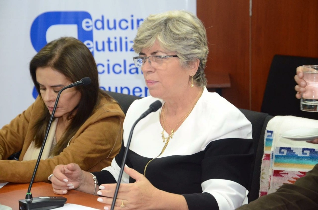 La ex ministra de Medio Ambiente, María Elva Pinckert, del gobierno de facto boliviano durante una reunión de trabajo. Foto @elva_pinckert 