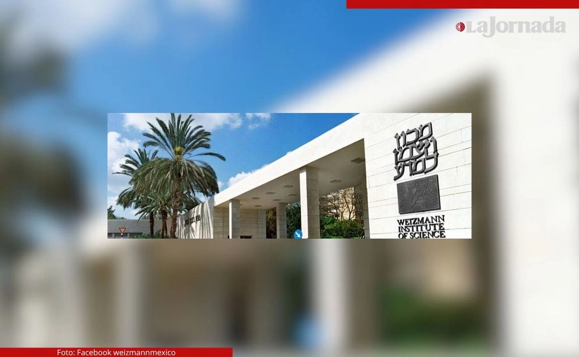 Empleando la secuenciación genética de una sola célula, los investigadores pudieron analizar estas células a partir de una muestra estándar de sangre y detectar signos de advertencia de la enfermedad.
