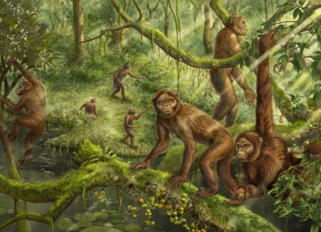 Recreación artística del comportamiento de los Lufengpithecus. Foto Academia China de Ciencias 




