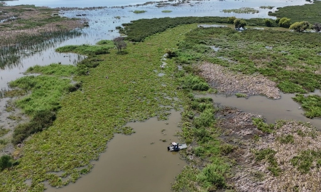 Habitantes de las comunidades de Mata de la Monteada, Cruz Grande y Camalote, en Altamira, Tamaulipas, son de las más afectadas por el lirio acuático en el río Tamesí. Foto David Castellanos