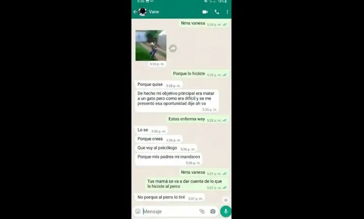 Presunto chat entre la agresora del animal y quien se lo dio en adopción. Foto Tomada de redes sociales